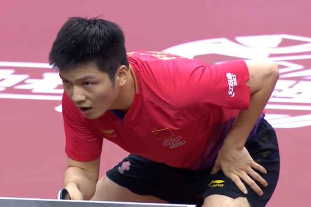 他们可能会 他们可能会