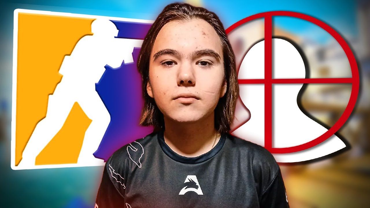 夏洛特黄蜂 夏洛特黄蜂